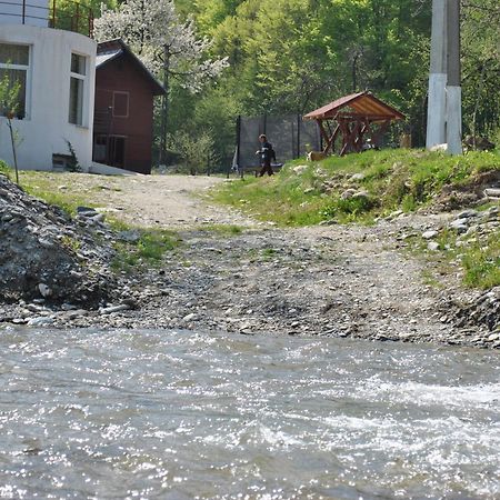 Pension Belmonte Sîmbăta de Sus Bagian luar foto