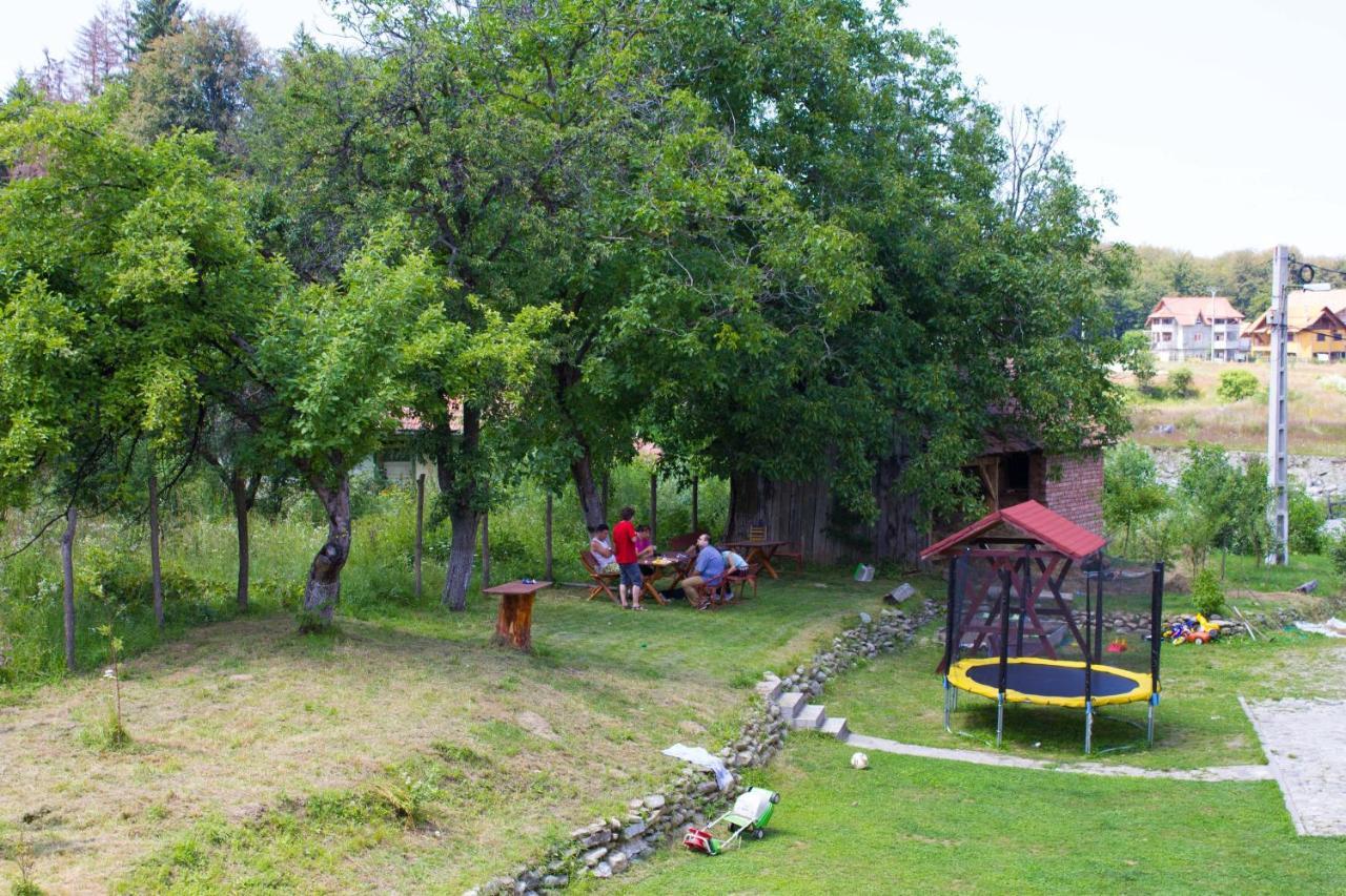 Pension Belmonte Sîmbăta de Sus Bagian luar foto